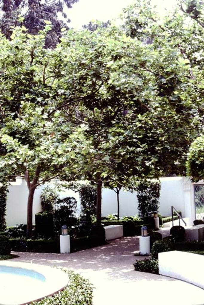 Getty Villa, Malibu, Spring 1982. Fountain area. Photo by Stanley A. Jashemski.
Source: The Wilhelmina and Stanley A. Jashemski archive in the University of Maryland Library, Special Collections (See collection page) and made available under the Creative Commons Attribution-Non Commercial License v.4. See Licence and use details.
J80f0395